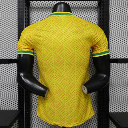 South Africa Home Kit 2026 World Cup